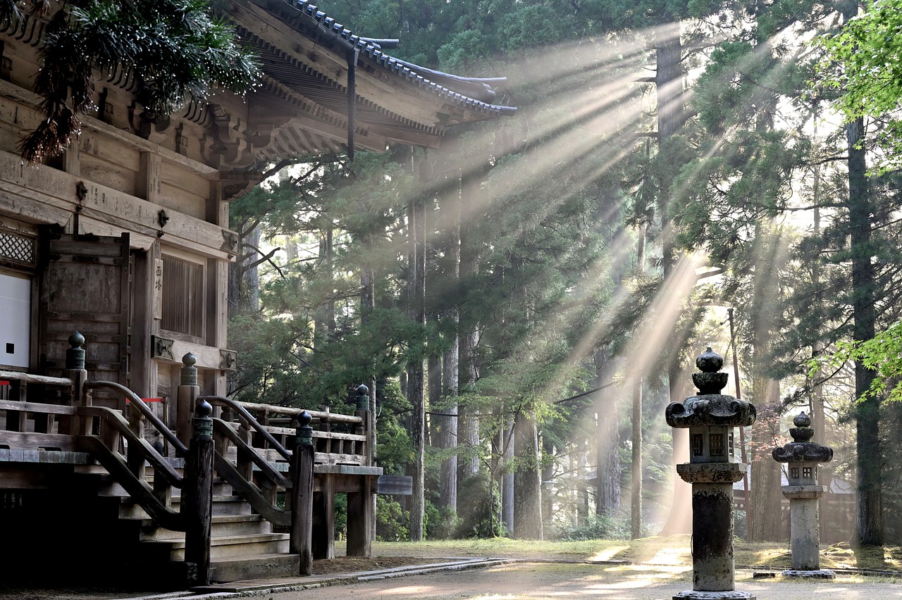 Sunlight streaming through cedar trees at a traditional Japanese temple with stone lanterns