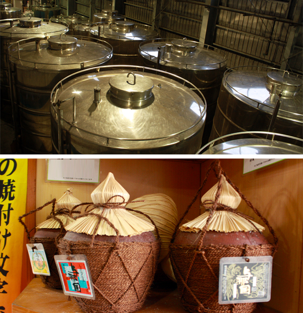etape_maturationi_awamori etape_maturationi_awamori