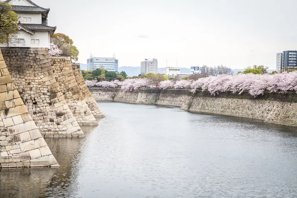 osaka-castle-moat-cherry-blossoms osaka-castle-moat-cherry-blossoms